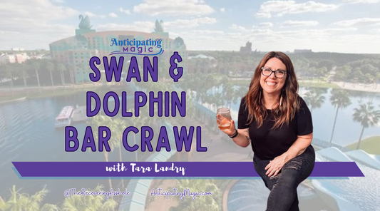 Best Bars and Lounges at the Swan and Dolphin Disney Hotels!